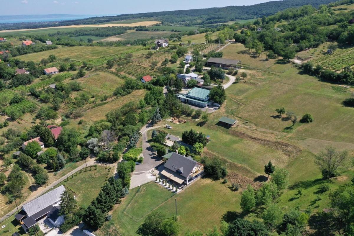 Borkuti Panzio Es Apartman Balatonszárszó Buitenkant foto