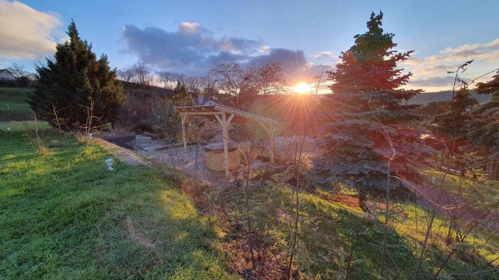 Borkuti Panzio Es Apartman Balatonszárszó Buitenkant foto